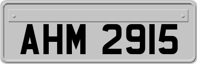 AHM2915