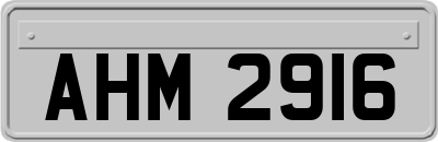 AHM2916