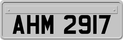 AHM2917