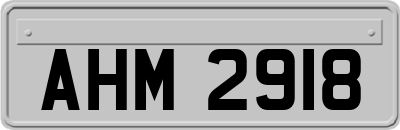 AHM2918