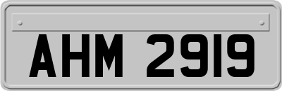 AHM2919