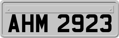 AHM2923