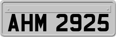 AHM2925