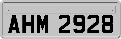 AHM2928