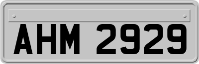 AHM2929