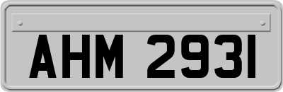 AHM2931