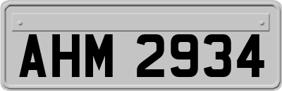 AHM2934