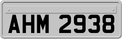 AHM2938