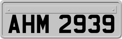 AHM2939