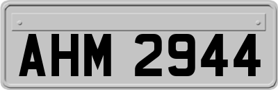 AHM2944