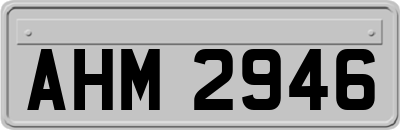 AHM2946