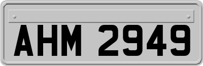 AHM2949