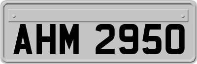 AHM2950