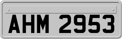 AHM2953
