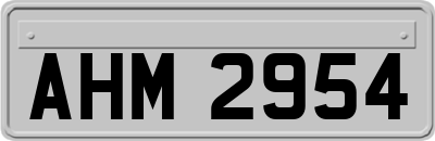 AHM2954