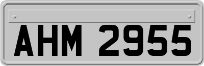 AHM2955