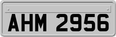 AHM2956