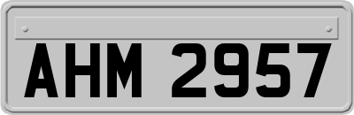 AHM2957
