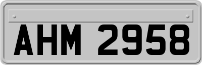AHM2958