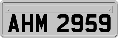 AHM2959