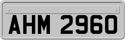 AHM2960