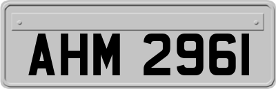 AHM2961