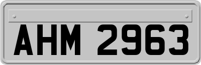 AHM2963