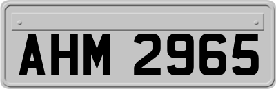 AHM2965