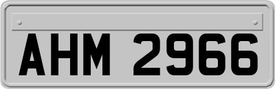 AHM2966
