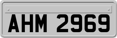 AHM2969
