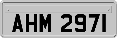 AHM2971