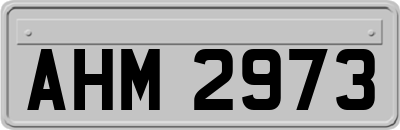 AHM2973