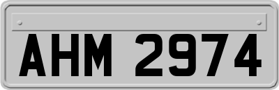 AHM2974