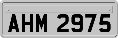 AHM2975