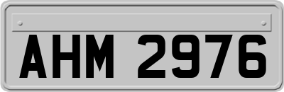 AHM2976
