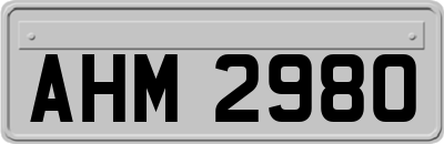 AHM2980