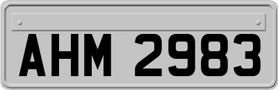 AHM2983