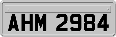 AHM2984