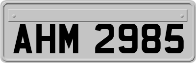 AHM2985