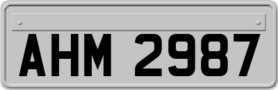 AHM2987