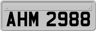 AHM2988
