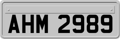 AHM2989