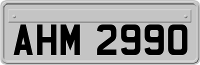 AHM2990