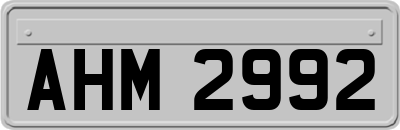AHM2992