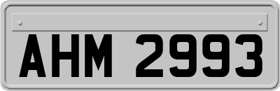 AHM2993