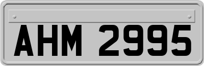 AHM2995