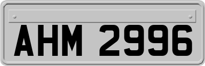 AHM2996