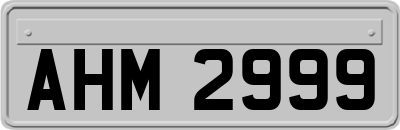 AHM2999