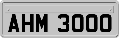 AHM3000
