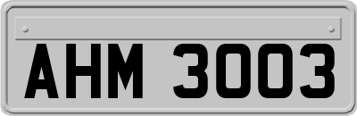 AHM3003